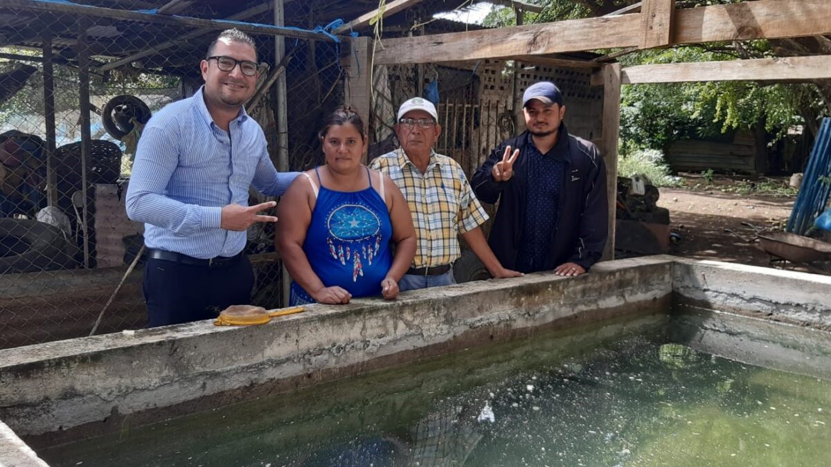 Más de 1 mil 600 estanques habilitados para criar Tilapias en Nicaragua