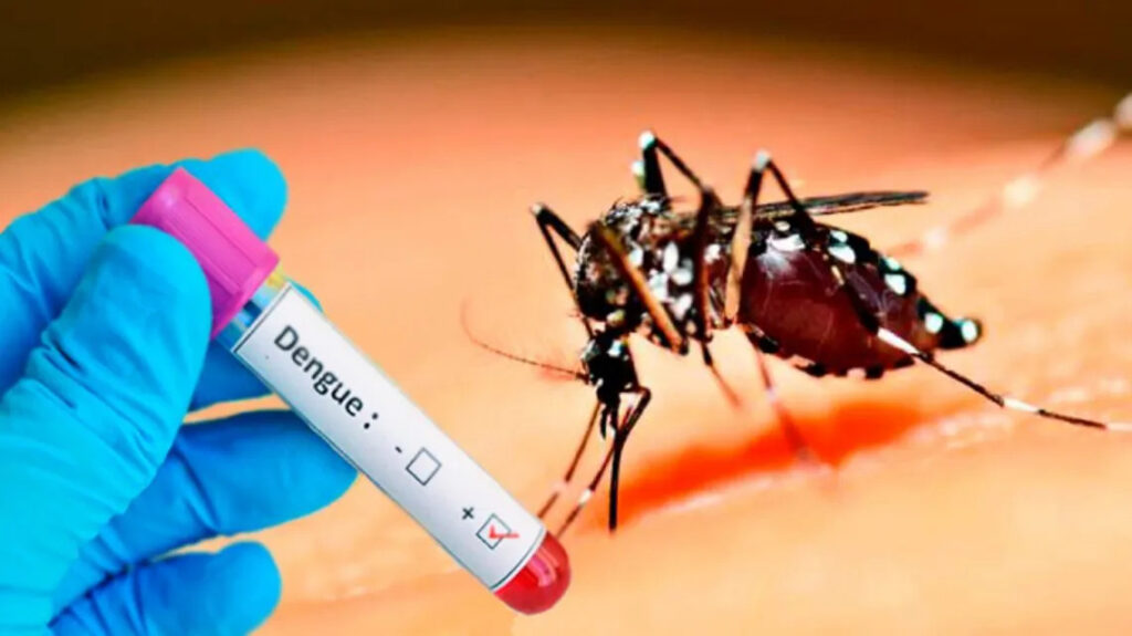 India registra aumento en casos de dengue