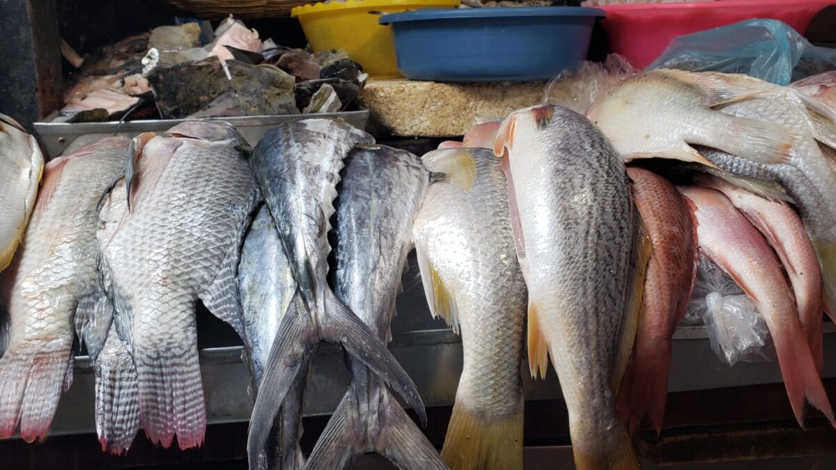 Vendedores de mariscos mantienen precios estables en mercado Roberto Huembes