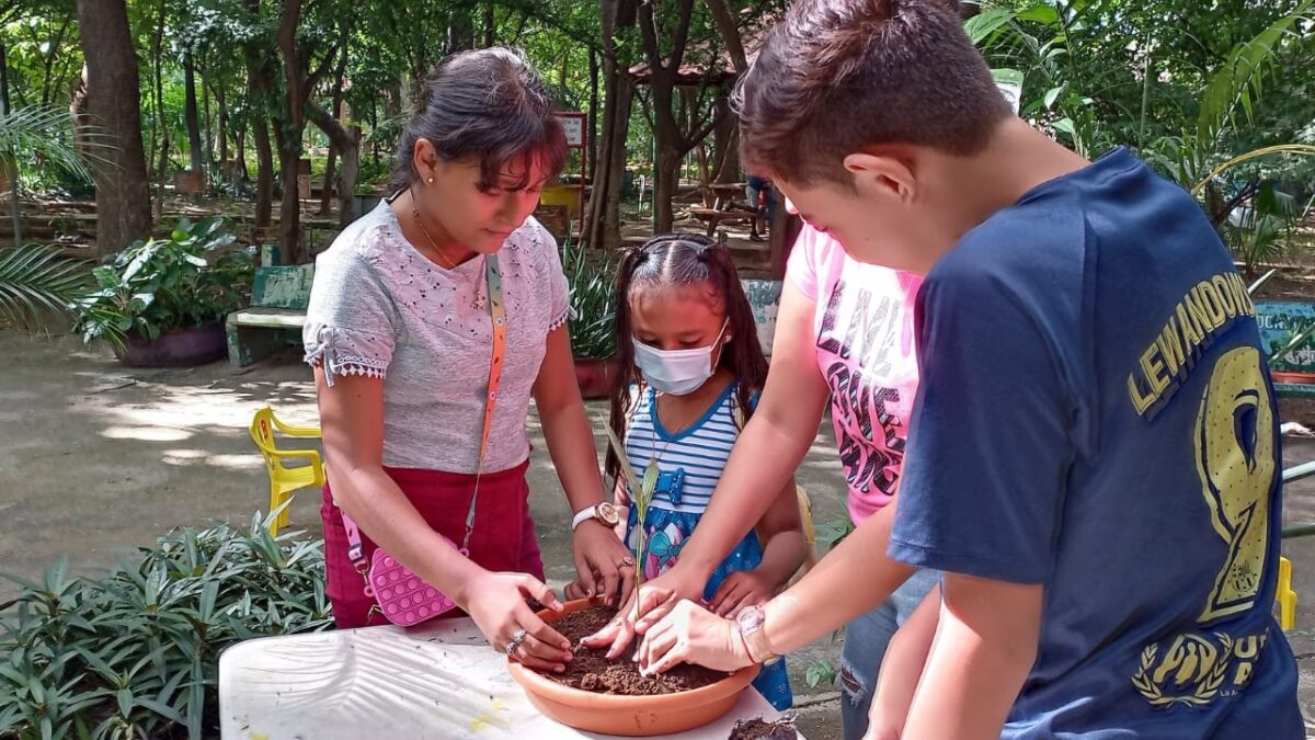 Niñas y niños aprenden a realizar mini jardines en el Arboretum Nacional