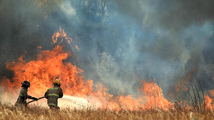 Declaran alerta roja por incendio en La Araucanía, Chile