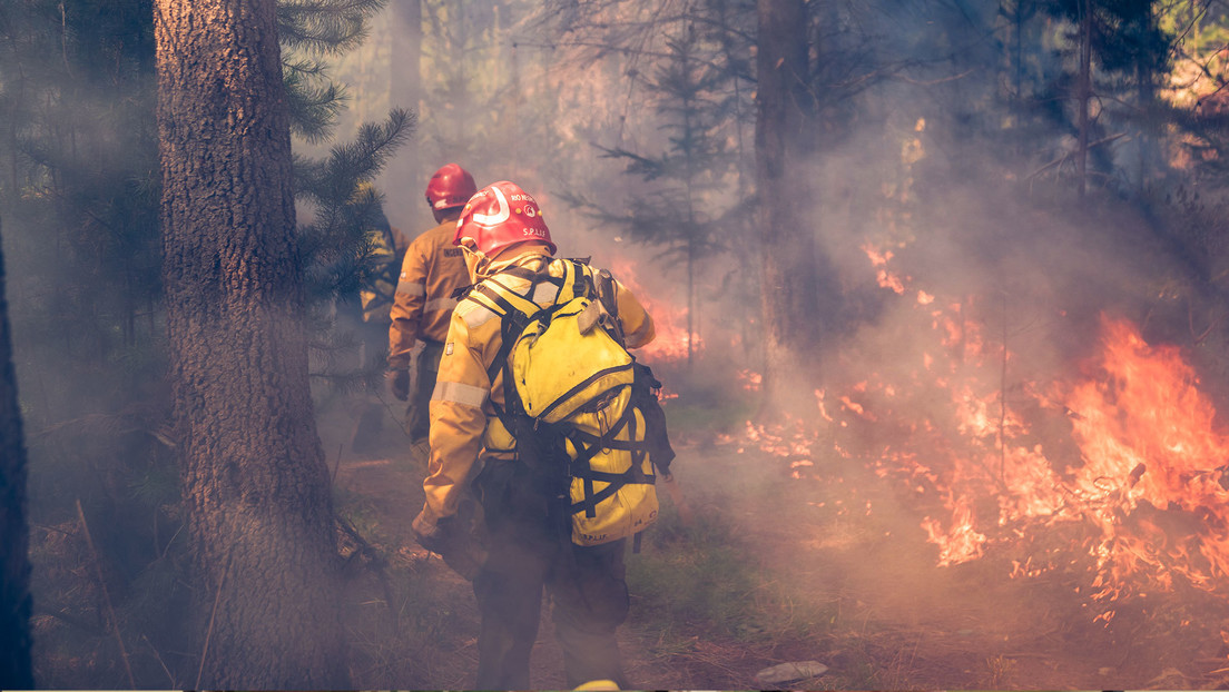 Voraz incendio arrasa con 8 mil hectáreas en una reserva en Tierra del Fuego, Argentina