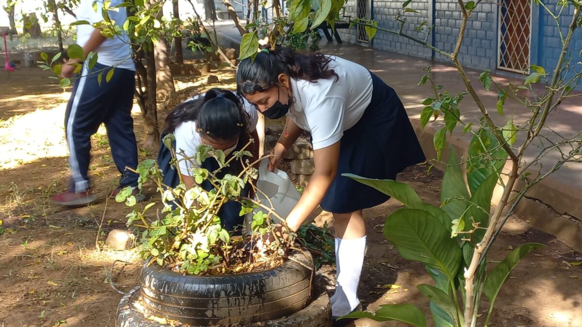 Estudiantes del Centro Josefa Toledo aprenden del cuido y protección de los árboles