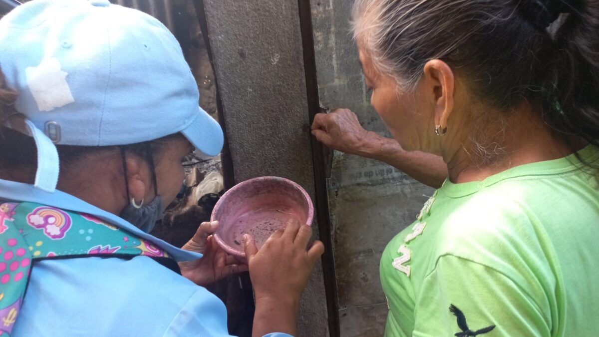 Familias del barrio Francisco Salazar y brigadistas de salud combaten los mosquitos