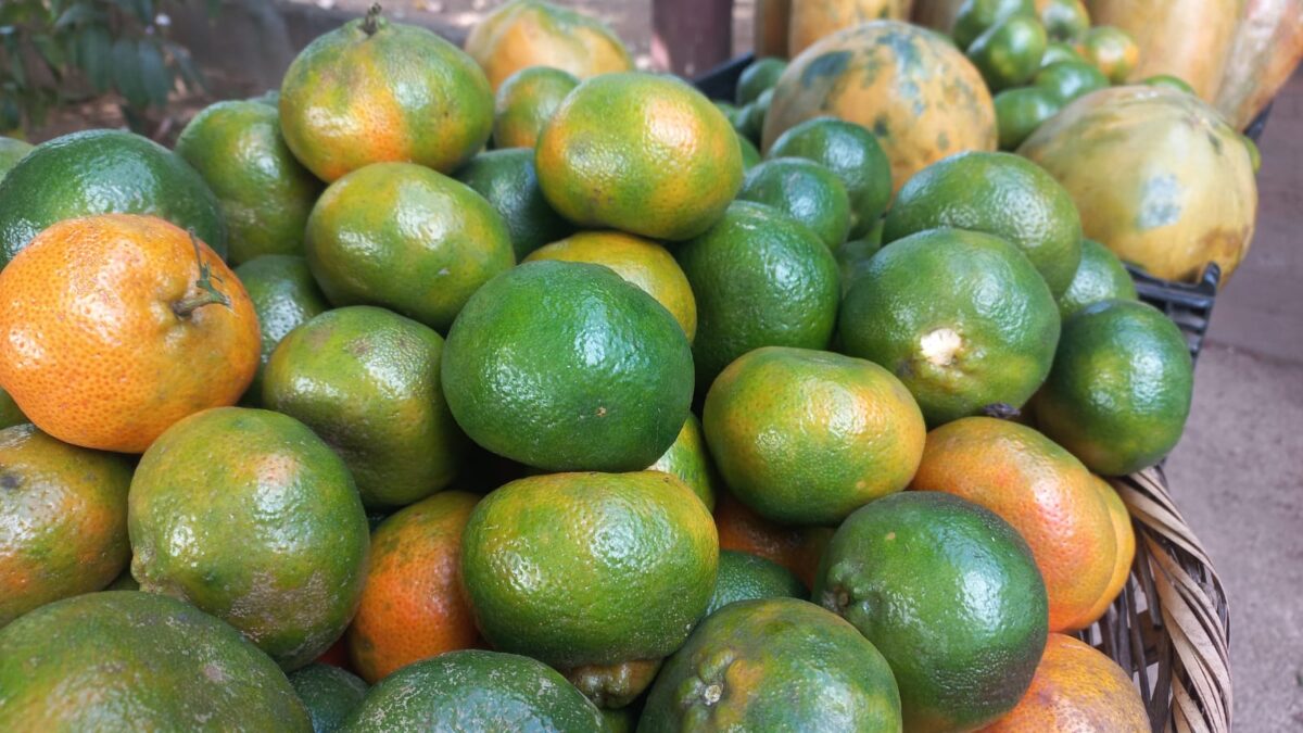 Precios competitivos de frutas y verduras en el mercadito campesino del Parque de Ferias