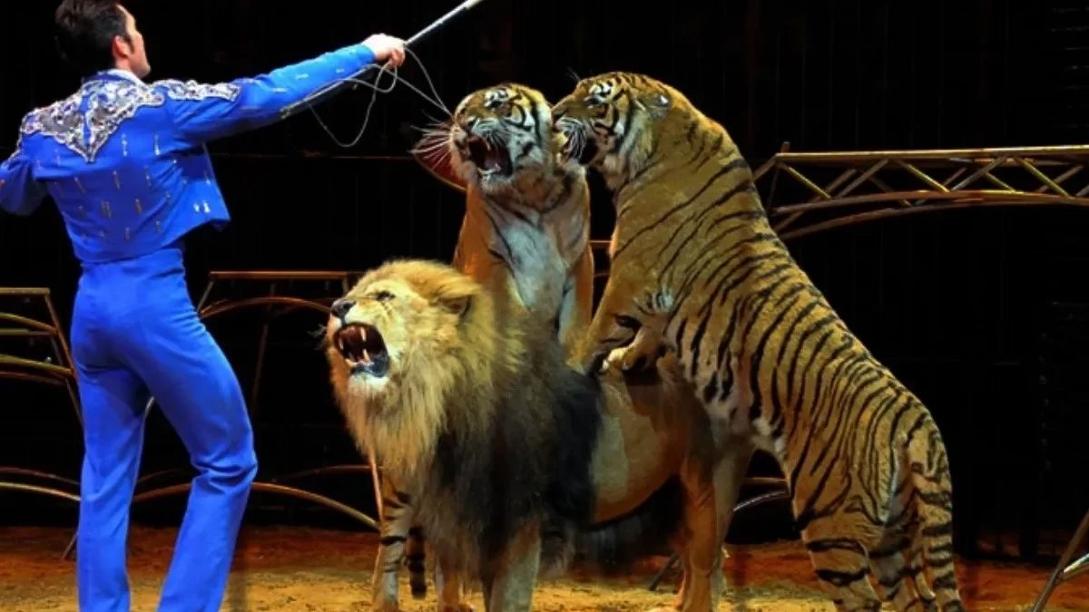 Domador se salva del ataque de un león en un circo ruso