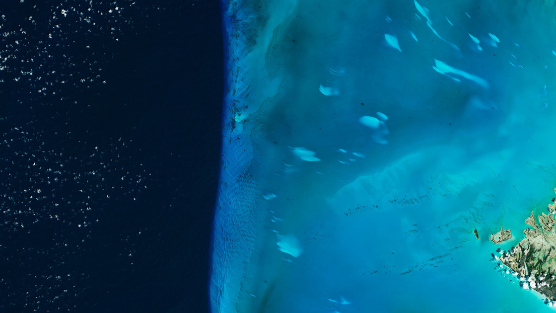 Misteriosas manchas blancas que flotan cerca de las Bahamas desconciertan a científicos