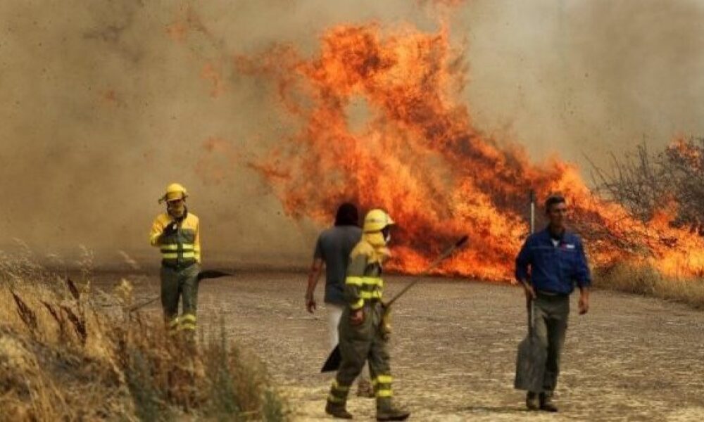 Aumenta cifra de fallecidos a causa de incendios forestales en Chile