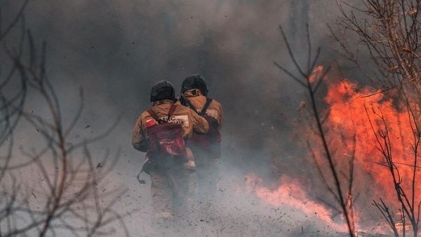 Chile reporta disminución de incendios forestales
