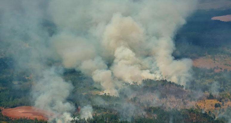 Cuba: incendio forestal destruye 1 mil 200 hectáreas
