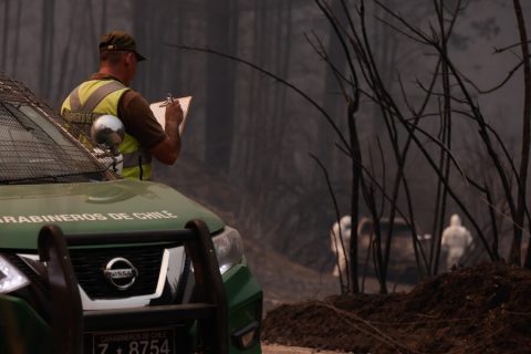 Detienen a 31 personas que estarían implicadas en incendios forestales en Chile