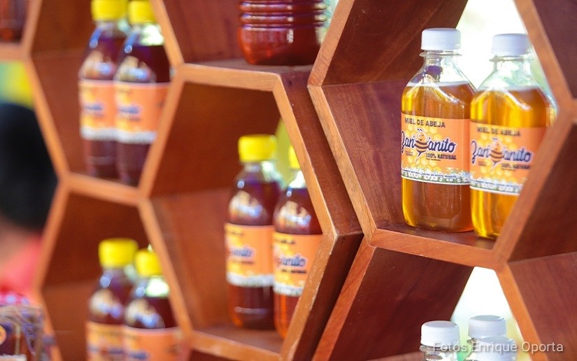 Nicaragua incrementa producción y exportación de miel
