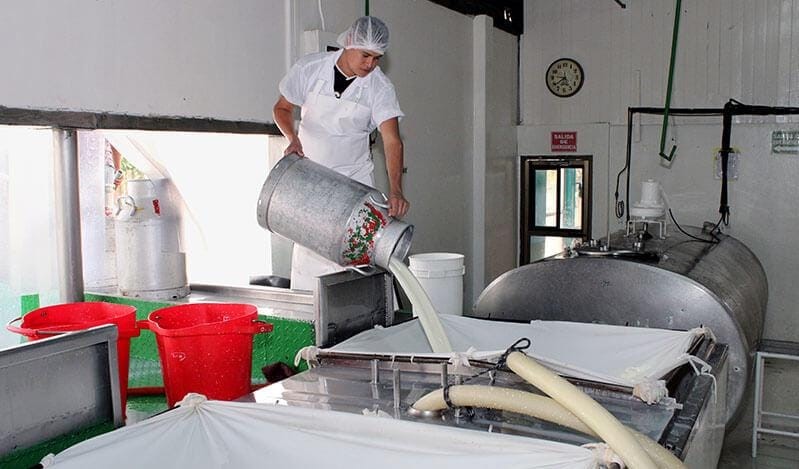 Nicaragua lidera producción de leche en Centroamérica