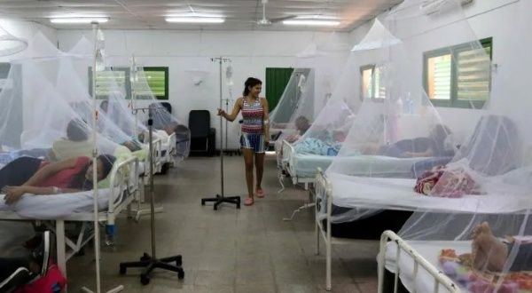 Paraguay: 12 mil enfermos y 23 muertos por chikungunya