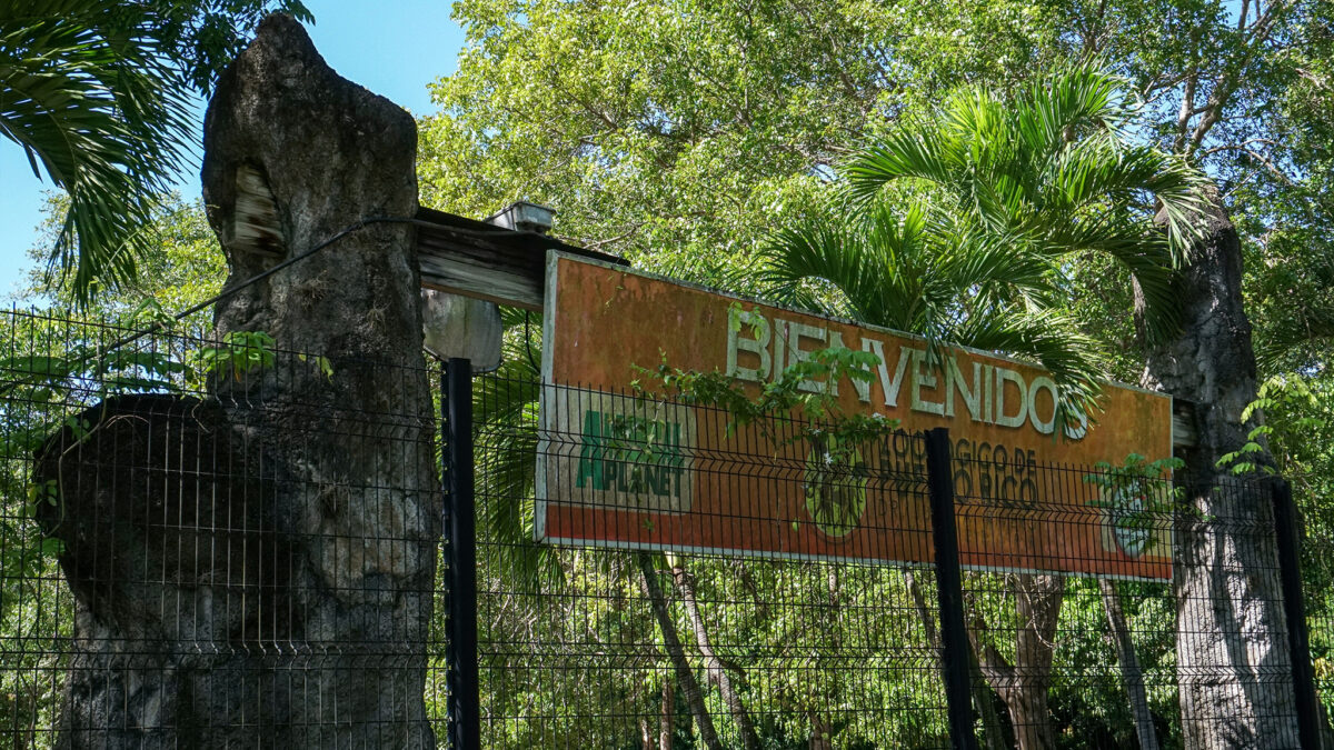 Puerto Rico cerrará el último zoológico existente de la isla por malas condiciones