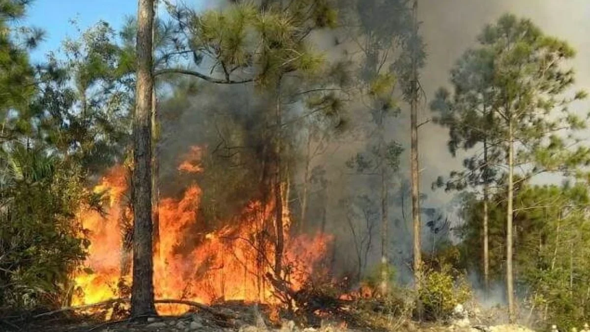 Registran fuerte incendio forestal en Cuba