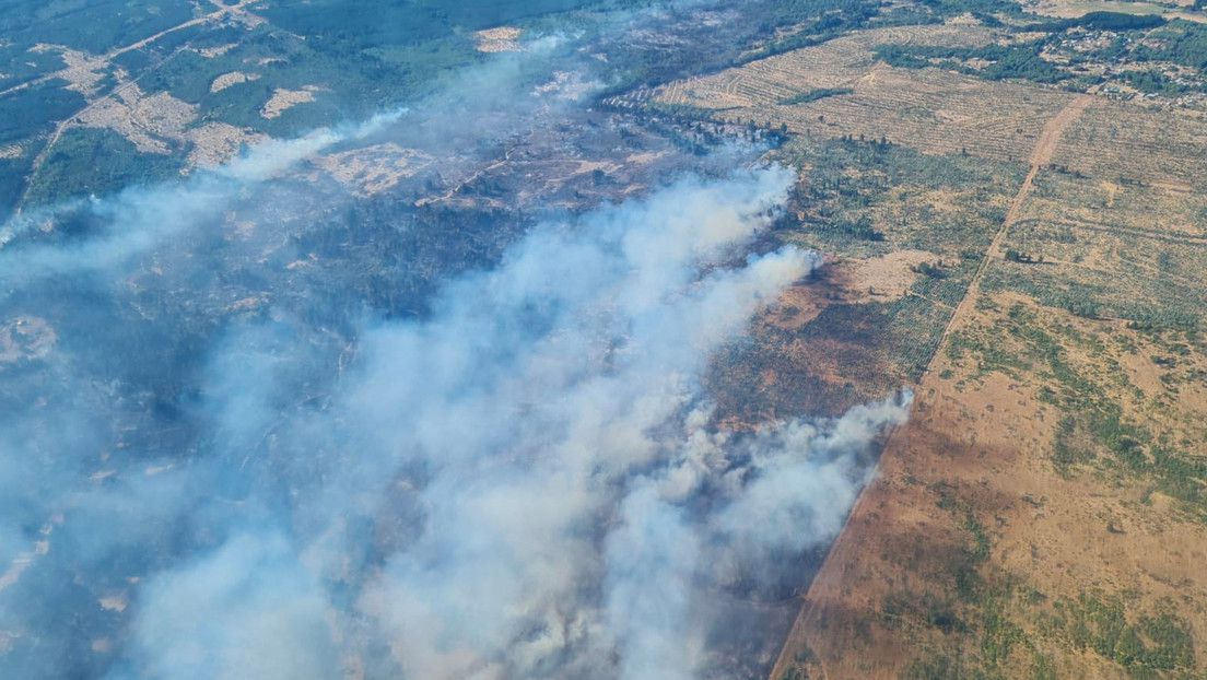 Confirman cuatro muertos por incendios forestales en el centro de Chile