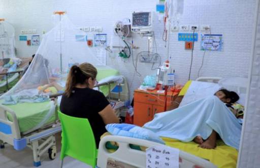 Bolivia reporta 39 decesos por dengue