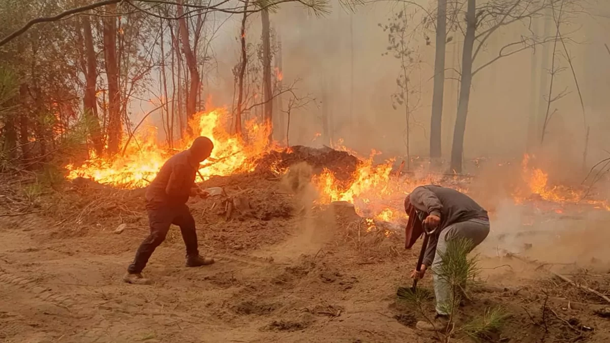 Chile mantiene emergencia en regiones con incendios forestales