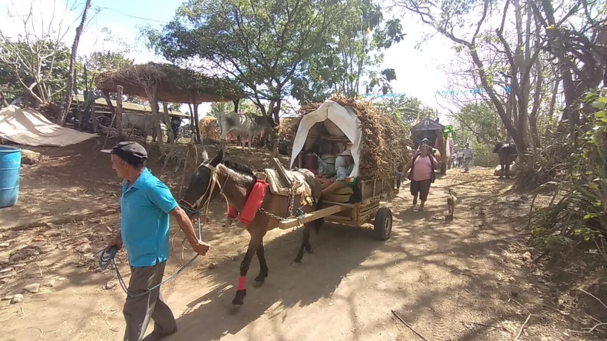 Familias caraceñas peregrinan a Popoyuapa 