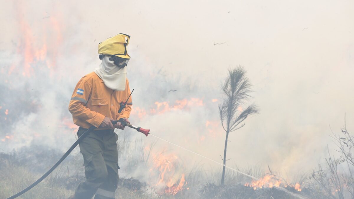 Incendio consume 3.000 hectáreas en Corrientes, Argentina