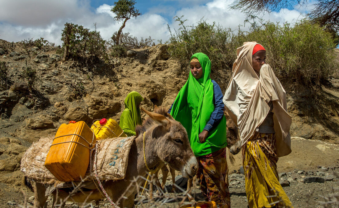 FAO advierte que cerca de cinco millones de somalíes sufren inseguridad alimentaria