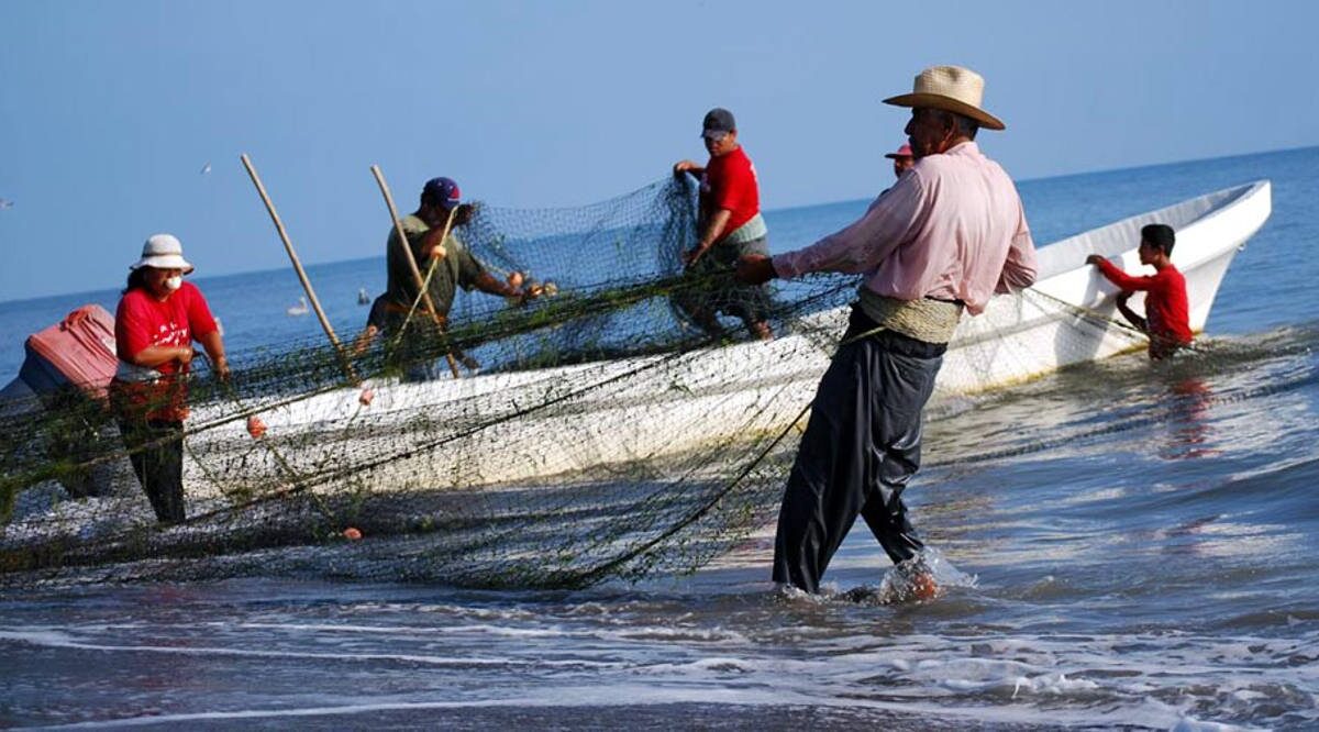Sector pesquero muestra una importante recuperación en 2022, según Hacienda