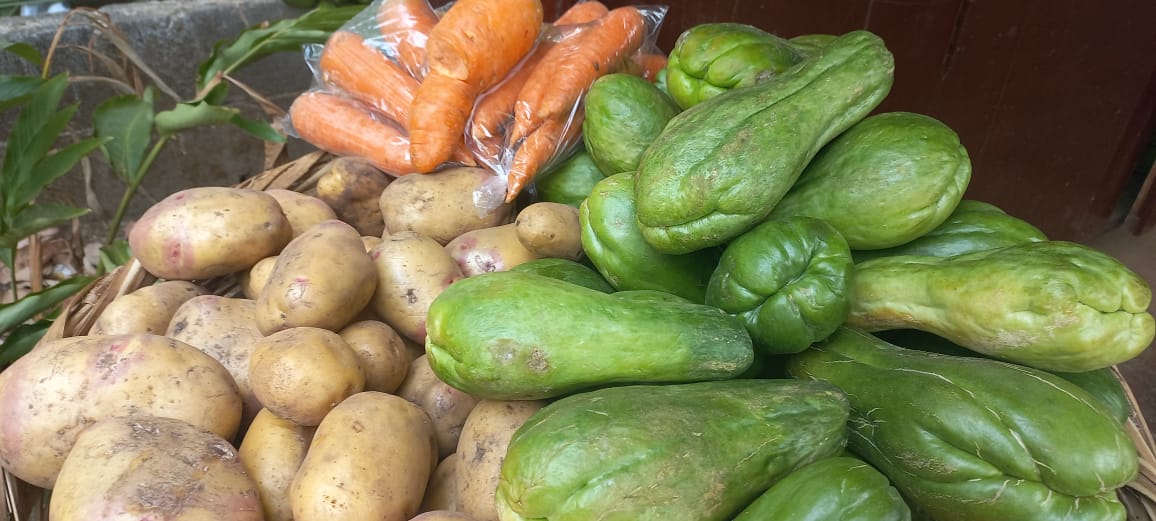Buenas ventas de verduras y cítricos en mercadito campesino del Parque de Ferias