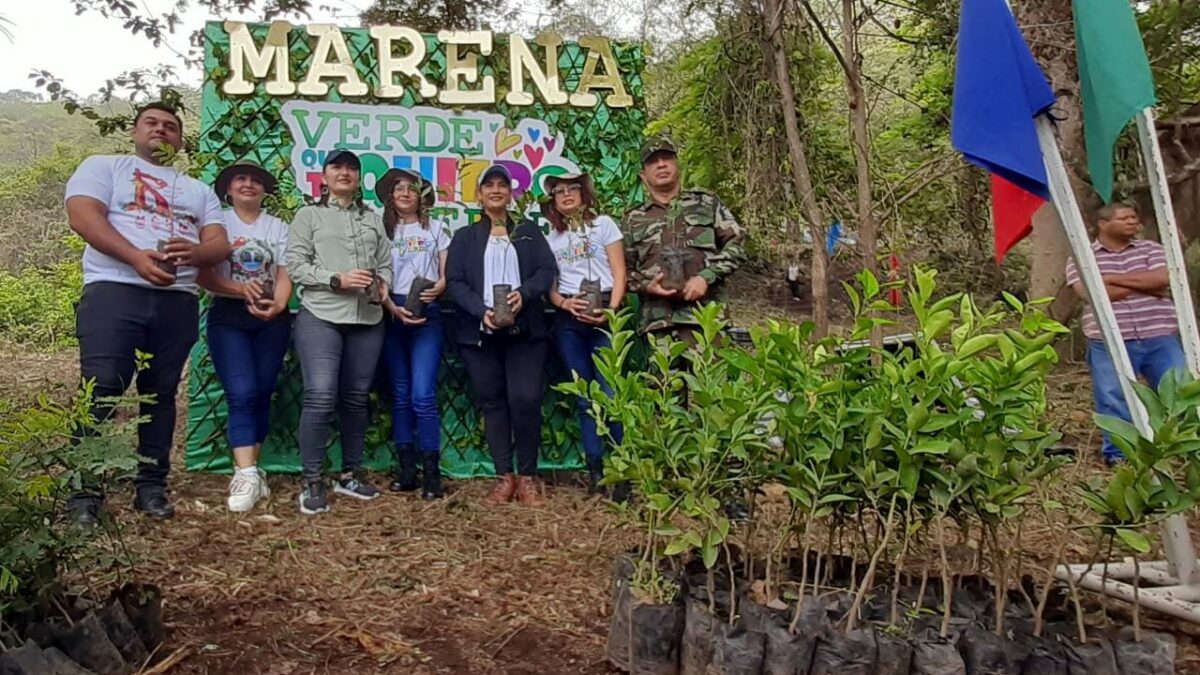 Plantarán 26 millones de árboles en Nicaragua