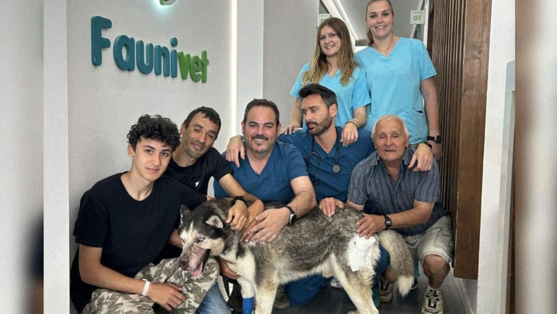 Video en TikTok ayuda a salvar a un perro que necesitaba ser operado