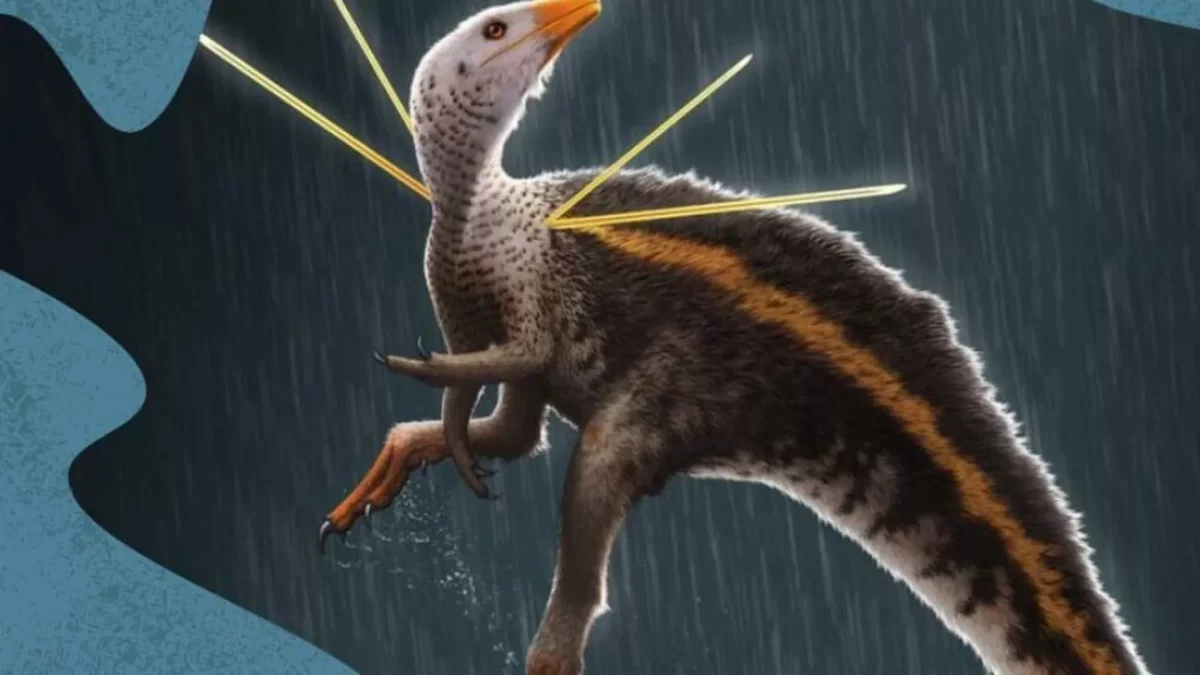 Brasil recupera fósil de un dinosaurio de 115 millones de años