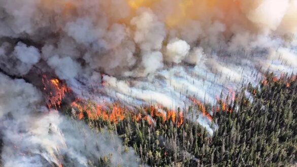 incendios forestales, incendios, canada,