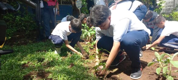 Establecen huerto plantas medicinales