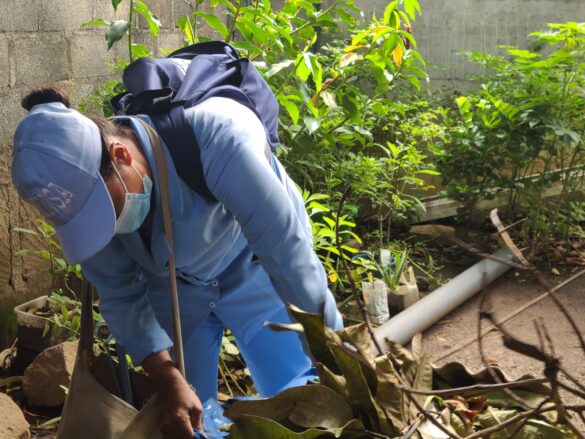 Minsa estrategias salud dengue