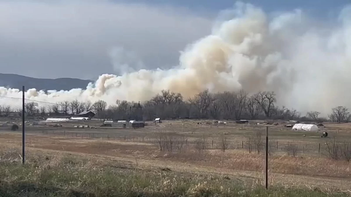 Reportan fuerte incendio en forestal en Arizona, EE.UU.