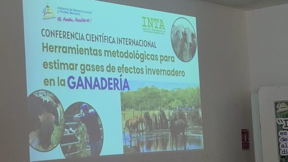 gases invernaderos, cambio climatico, nicaragua, fao,