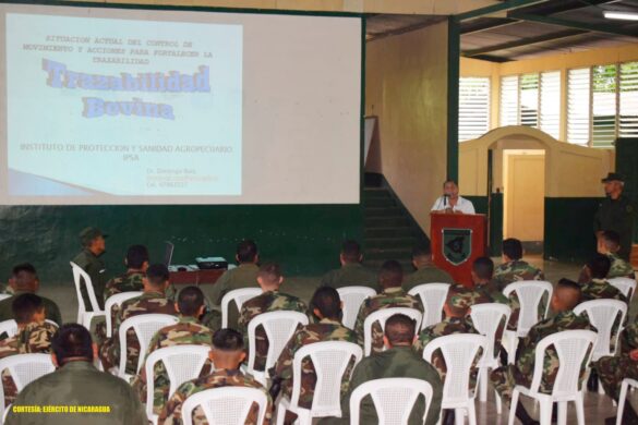 ejercito de nicaragua, plan seguridad en el campo, abigeato,