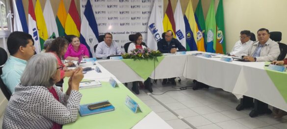 CNU-presenta-informe-actividades