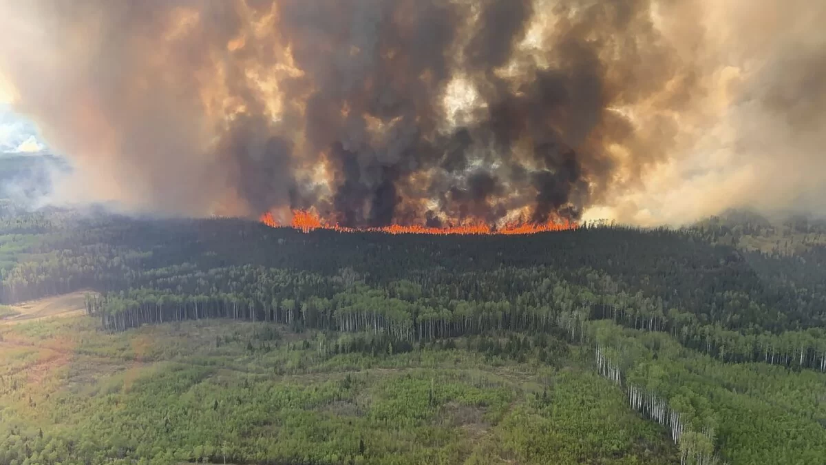 Incendios forestales bajo control