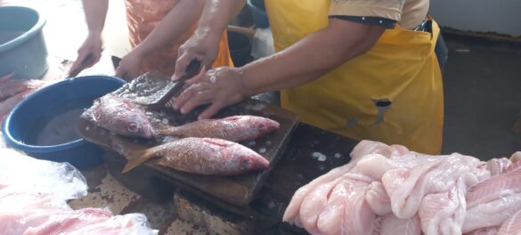 Mariscos-asequibles-mercado-Israel-1