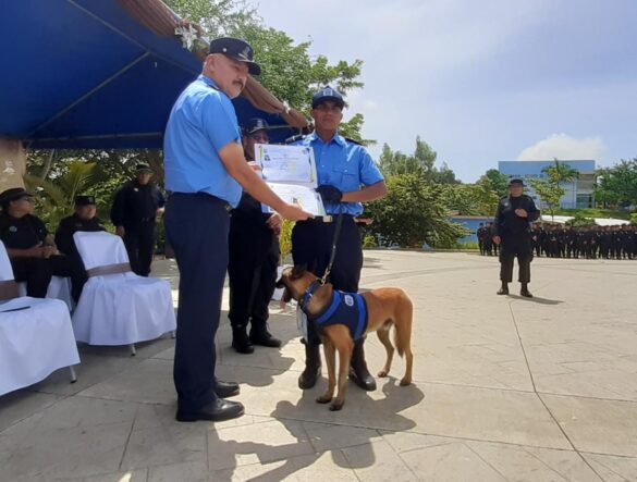 tecnica canina, policia nacional, policia nicaragua,