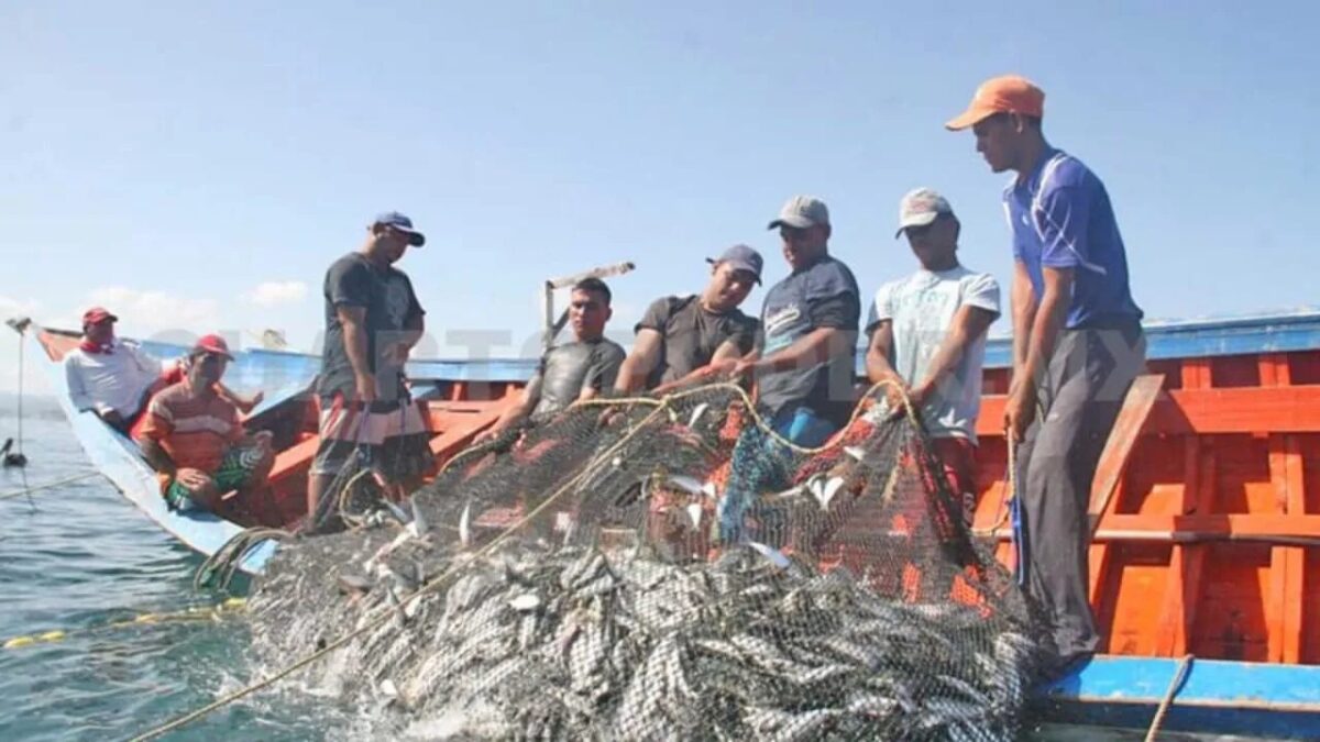 Sector pesquero presenta incremento