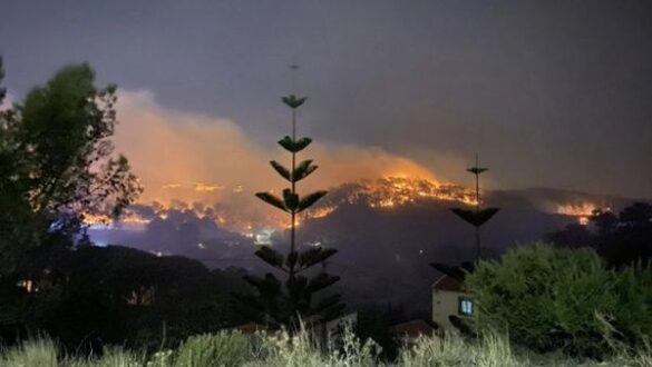 incendio-zona-boscosa-Portugal