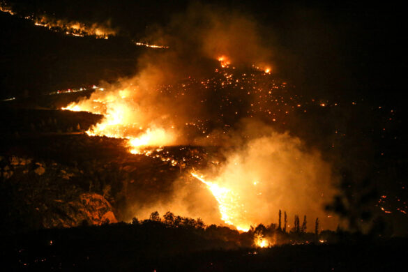 ola de calor, incendio forestal, incendios,