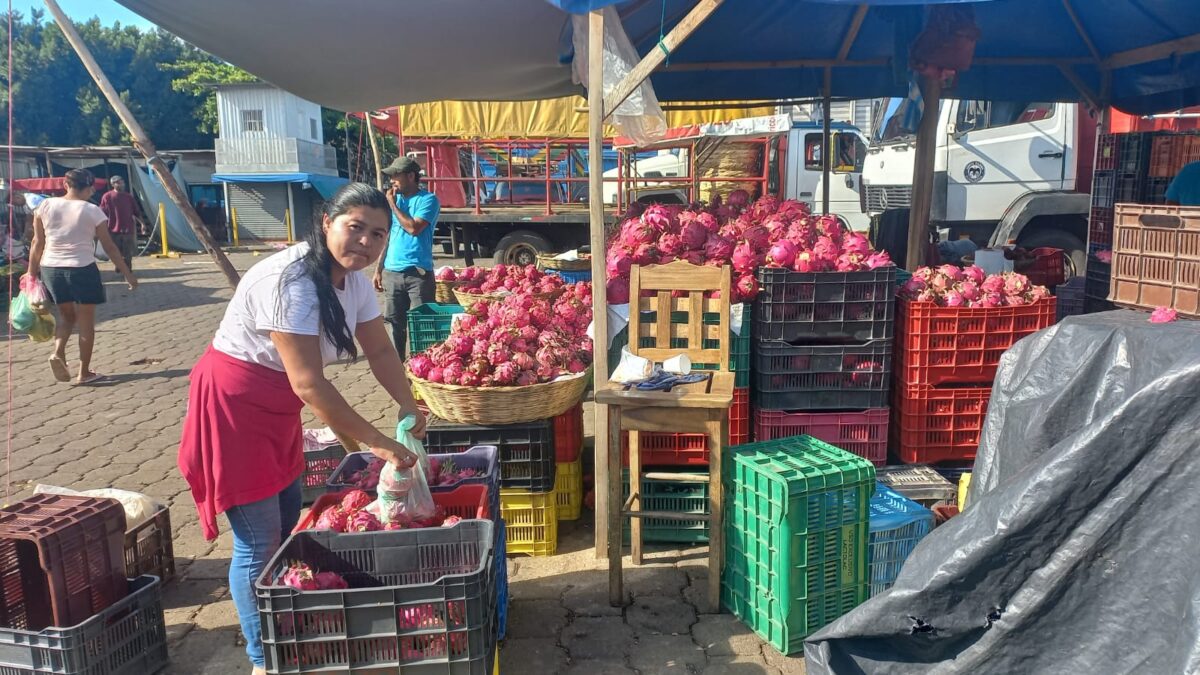 mercado mayoreo, pitahaya, frutas,