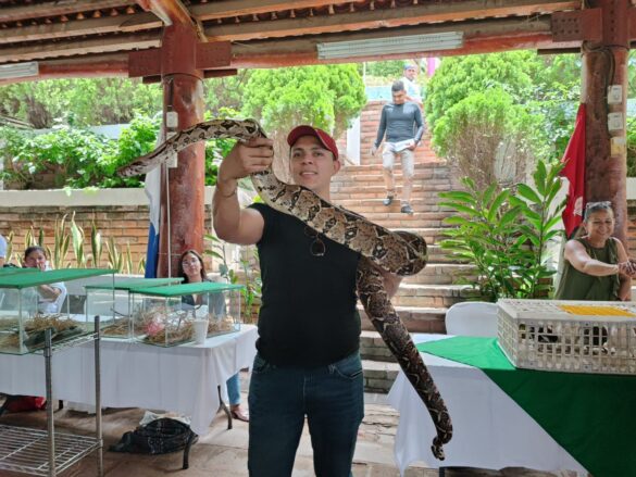 animales exoticos, parque de ferias, nicaragua exotica,