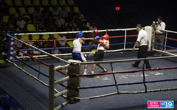 velada boxistica, gemelos alvarado, boxeo,