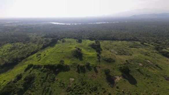 arqueologos, mexico, prehispanico,