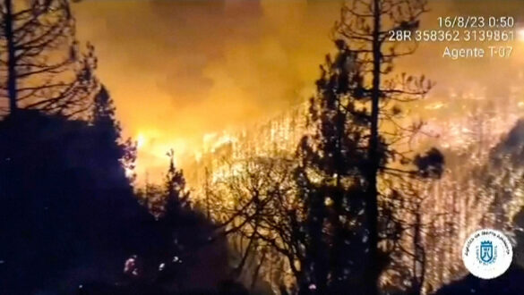 incendio, tenerife, canarias, incendio forestal,