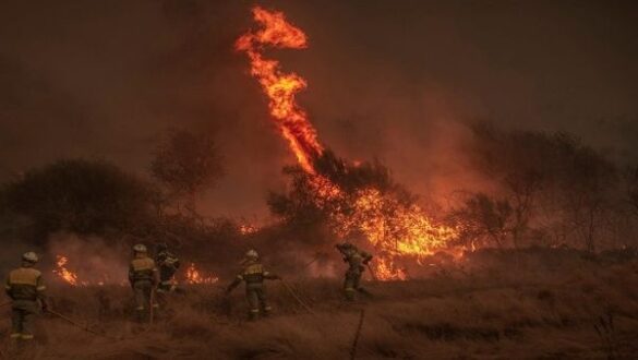 incendio forestal, portugal, proteccion civil,